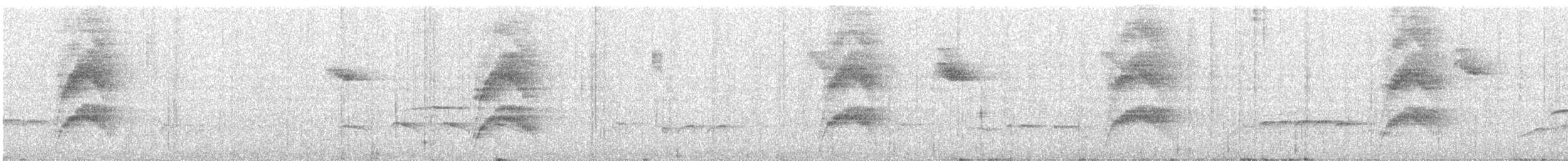 Large-tailed Antshrike - ML649202429