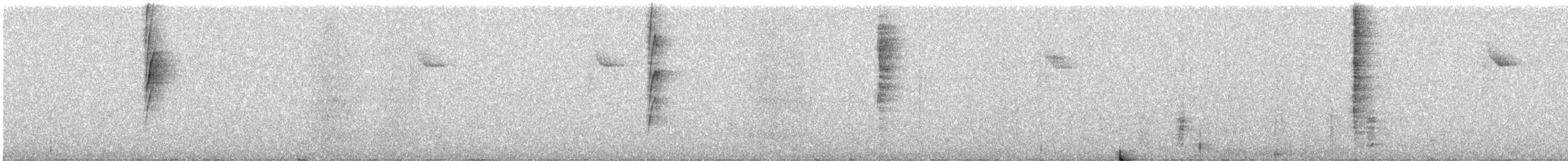 Rufous Gnateater - ML649202706