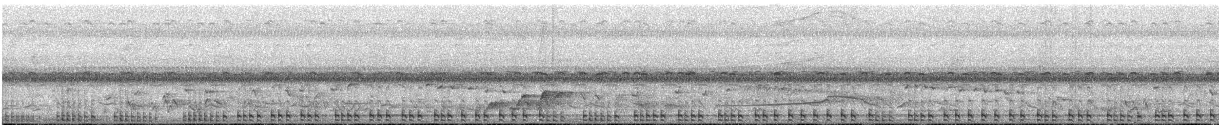 Turaco Gigante - ML649203546