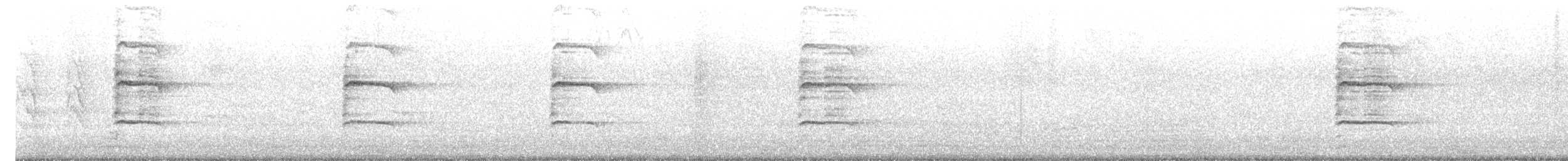 Indian Gray Hornbill - ML649203587