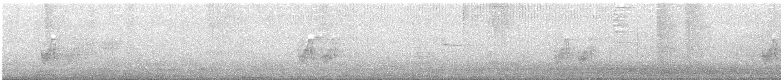 Savanna Nightjar - ML649204136