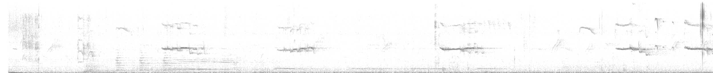 Oriental Magpie-Robin - ML649204447