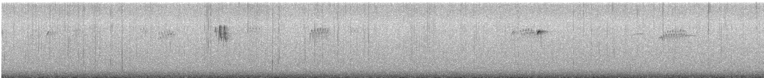 brkoslav americký - ML649208366