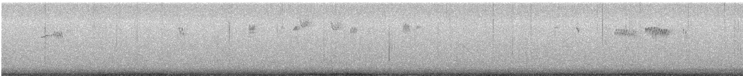 brkoslav americký - ML649208576