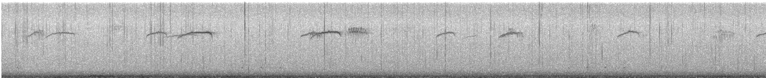 brkoslav americký - ML649208604