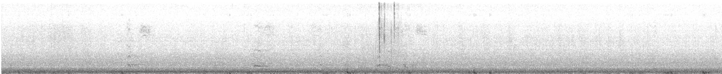 polák dlouhozobý - ML649210308