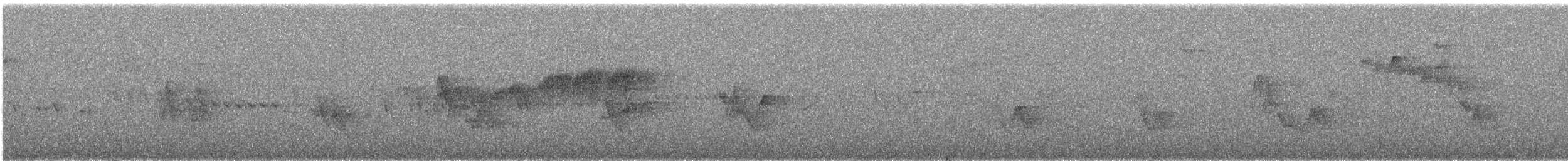 Northern Parula - ML649210763