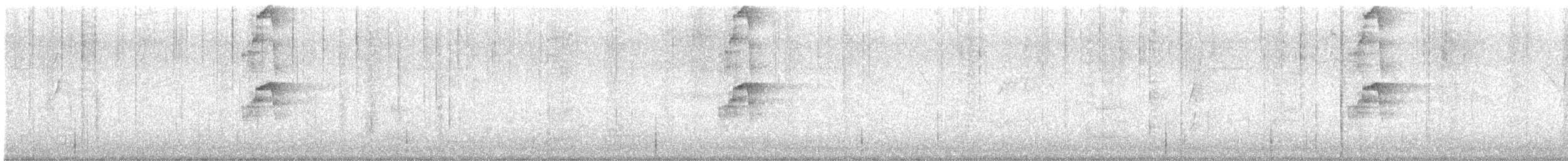 Buff-banded Rail - ML649212122