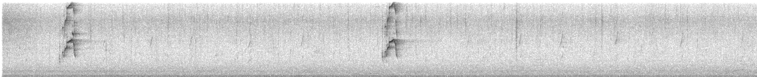 Buff-banded Rail - ML649212125