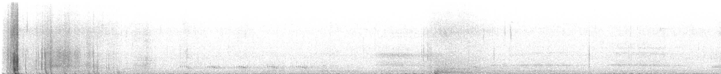 Common Raven - ML649212212