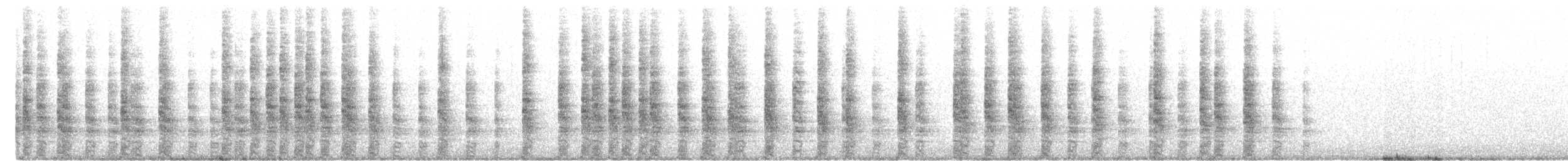 chřástal kalifornský - ML649213009