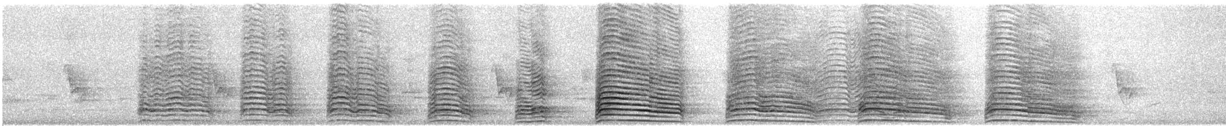 Hadada Ibis - ML649213185