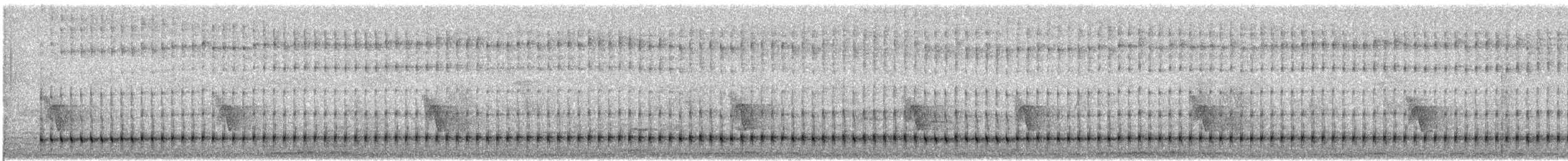 Crested Barbet - ML649213195