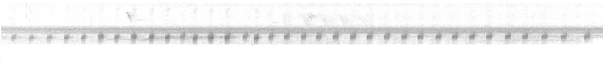 Bolivian Swamp Frog - ML649213279