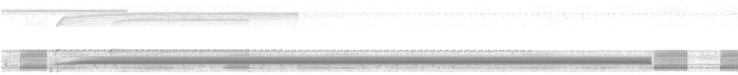 Bella Vista Toad - ML649214412