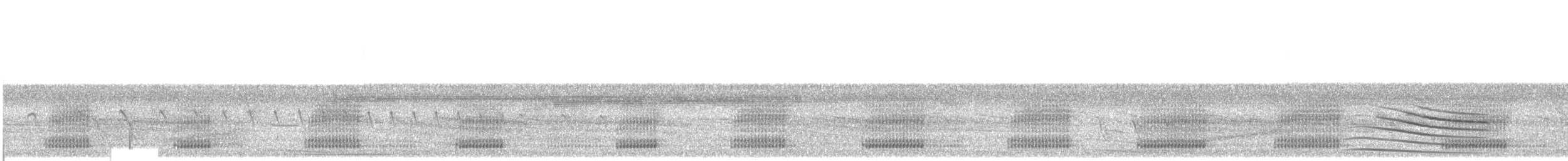 Mato Grosso Snouted Tree Frog - ML649215176