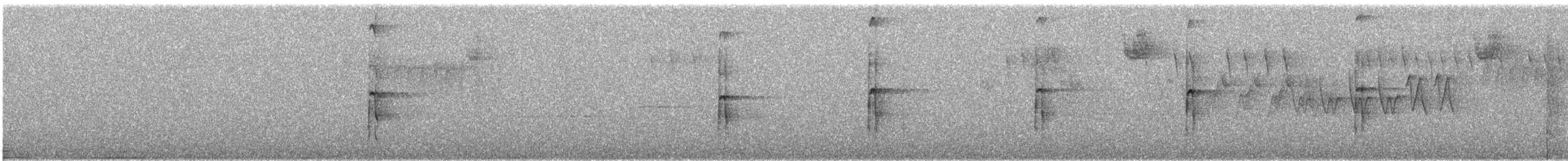 strakapoud americký - ML649217198