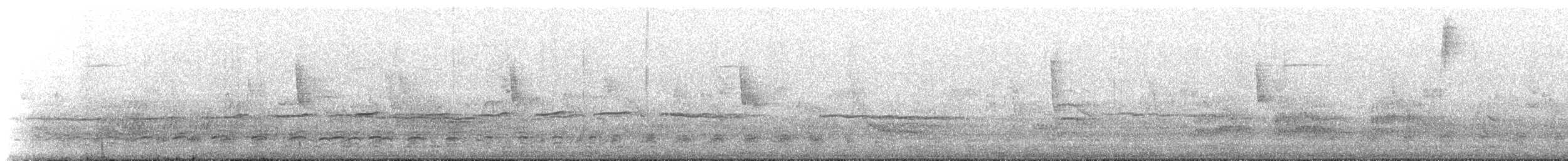 Magellanic Oystercatcher - ML649217230