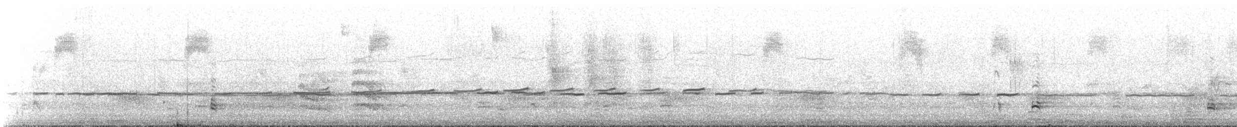 Magellanic Oystercatcher - ML649217231