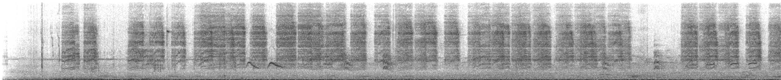 Southern House Wren - ML649217318