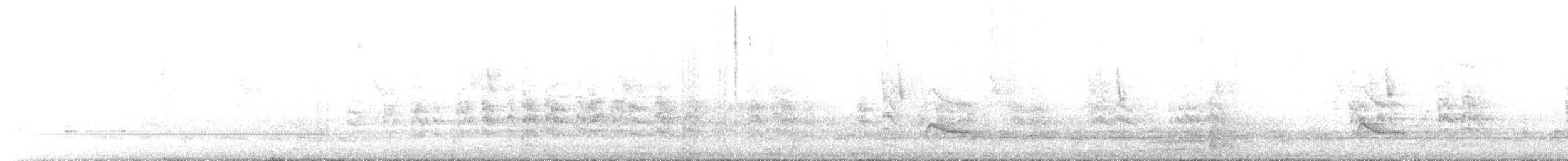 Southern House Wren - ML649217319