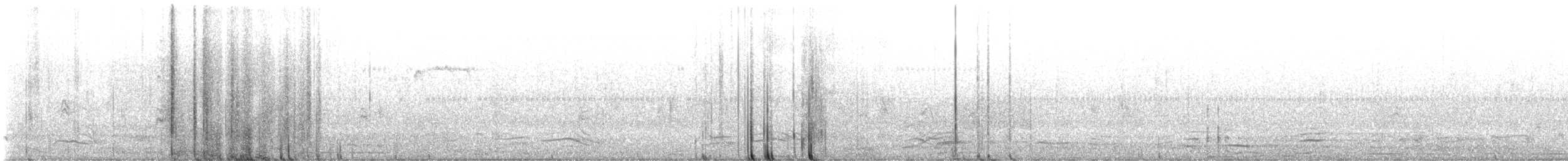 brkoslav americký - ML649218125