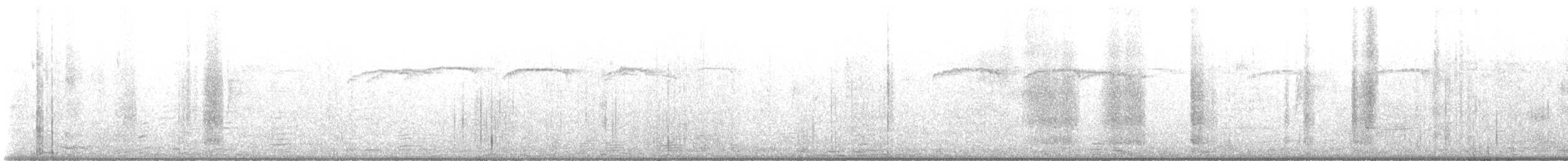 brkoslav americký - ML649218275