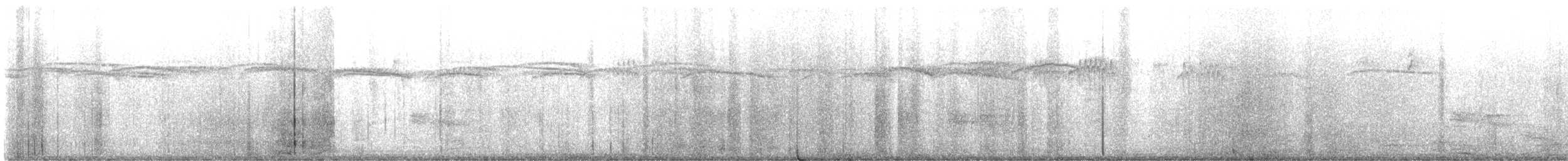 brkoslav americký - ML649218276