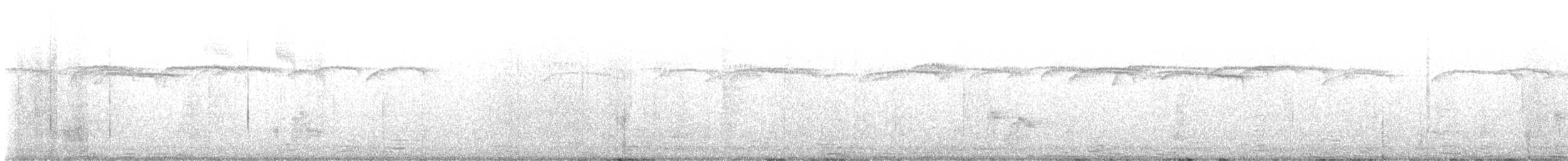 brkoslav americký - ML649218277