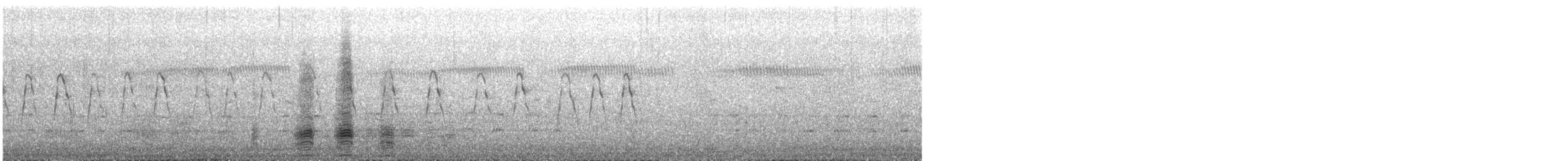 綠頭鴨 - ML649221375