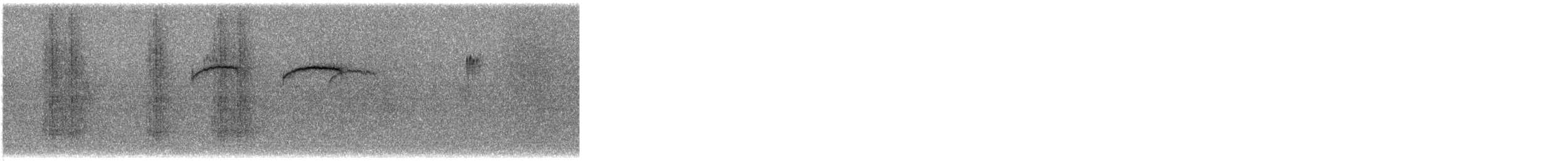 brkoslav americký - ML649226326