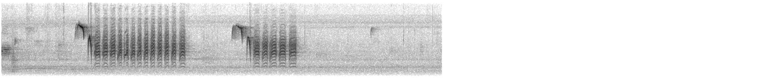 Каролинская гаичка - ML649226395