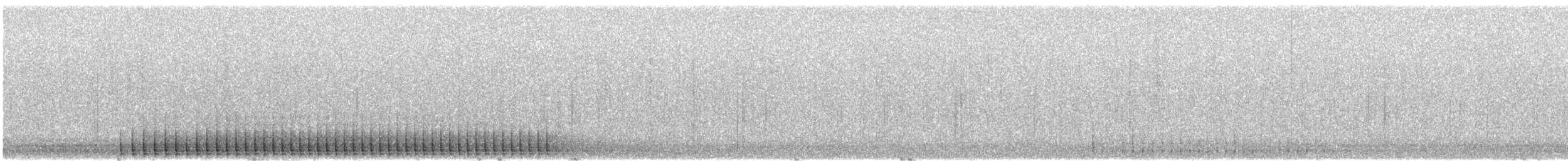 datel černý - ML649227967