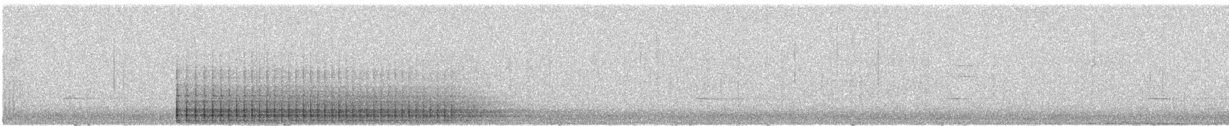 datel černý - ML649227971