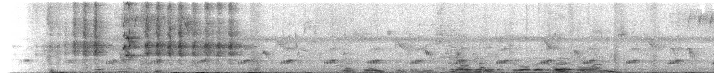 tukan středoamerický - ML649228172