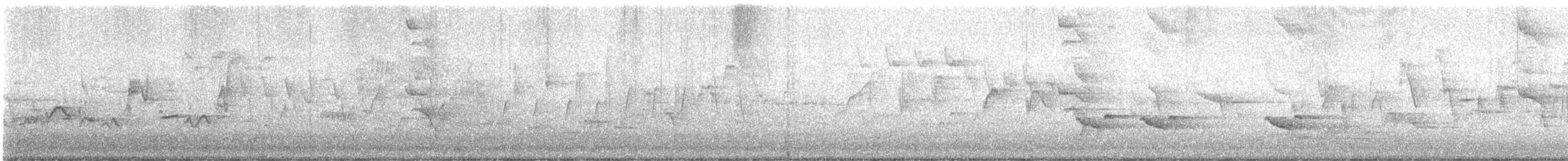 drozd západní - ML649228215