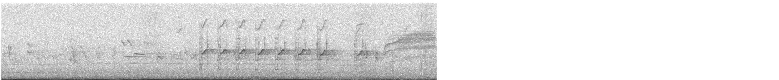 strakapoud kalifornský - ML649228723