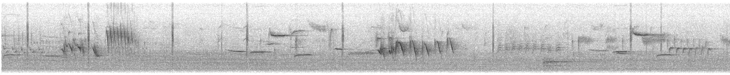 Spotted Towhee - ML649229019