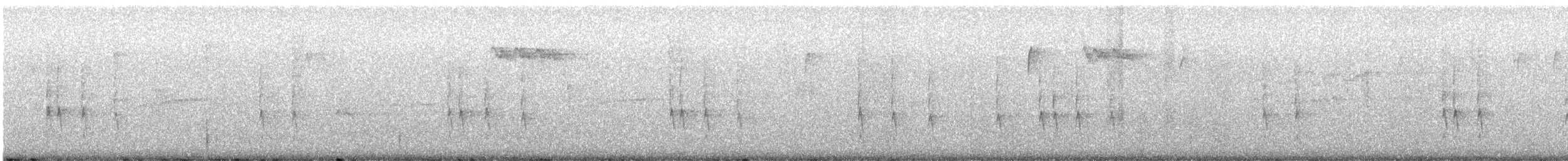 střízlík kanadský - ML649229073