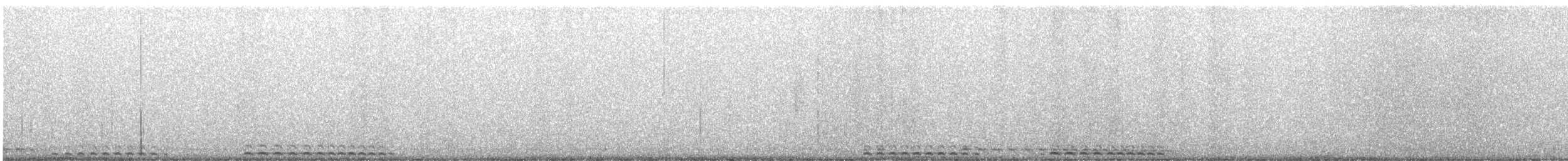 výreček západní - ML649229188