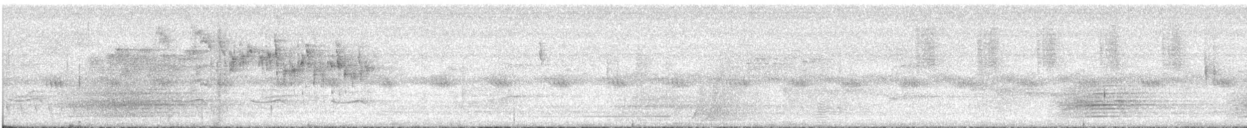 White-browed Scrubwren - ML649229321