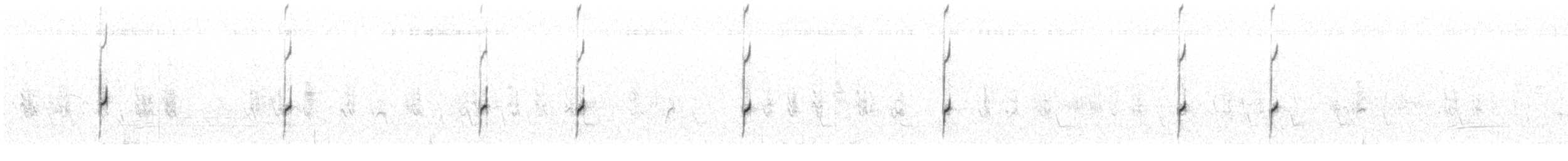 Chorlitejo Bicinchado - ML649238526