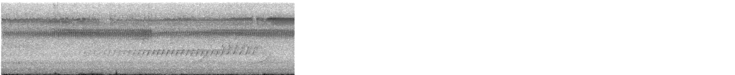 Pine Warbler - ML649240035