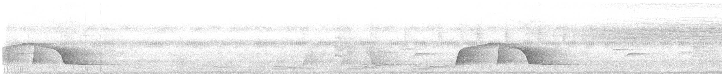 Screaming Piha - ML649240989