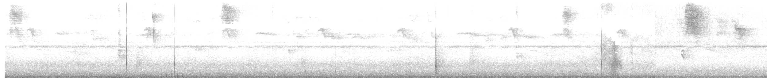 White-lined Tanager - ML649241300