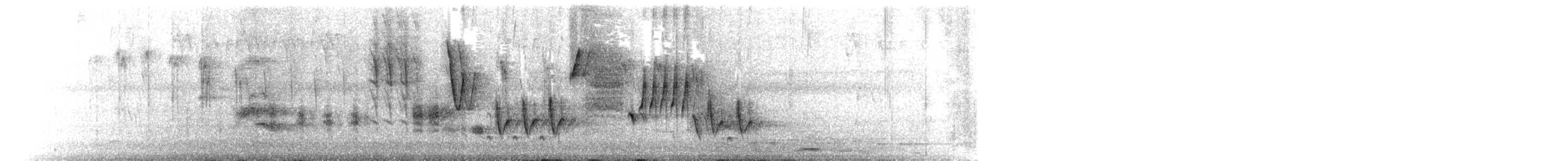 Southern House Wren - ML649241322