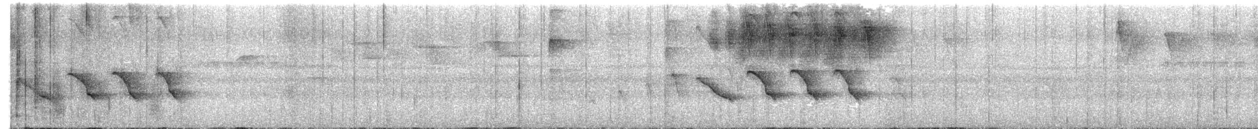 Russet Antshrike - ML649241325