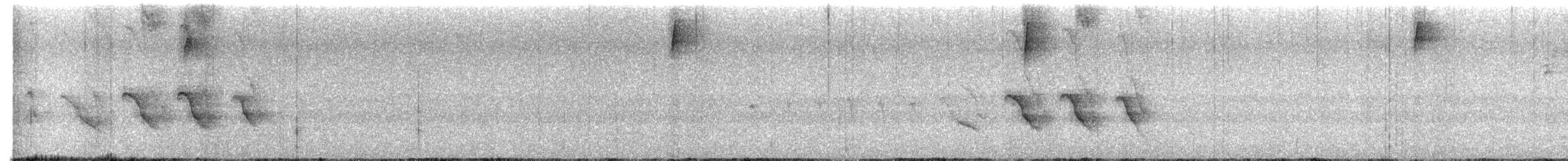 Russet Antshrike - ML649241327