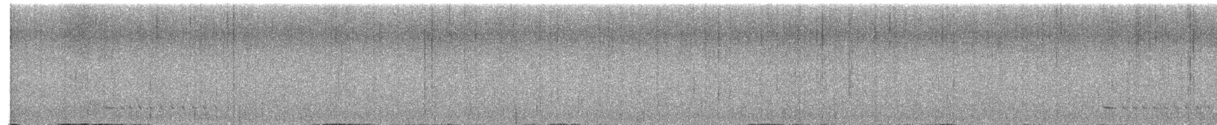 Thicket Antpitta - ML649241334