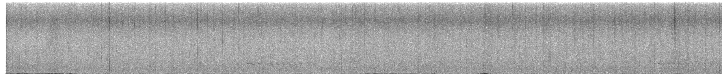 Thicket Antpitta - ML649241335